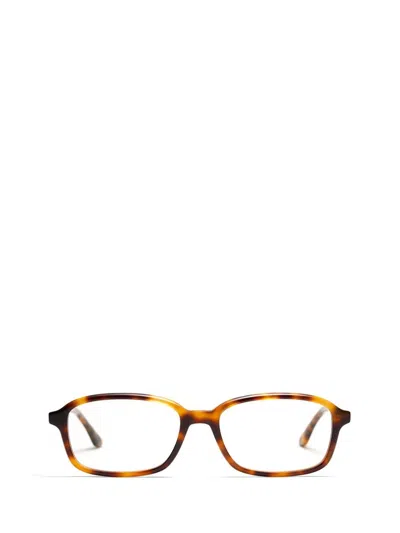 Peter And May Eyeglasses In Brown