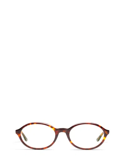 Peter And May Eyeglasses In Multi