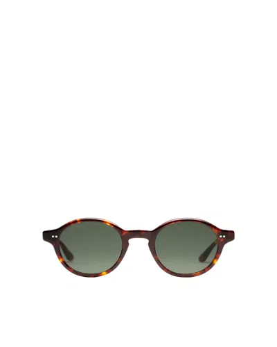 Peter And May Occhiali Da Sole Miaouuu Sun Tortoise G15