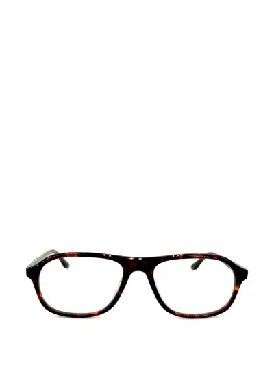 Peter And May Paul Browline Glasses In Brown