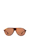 Peter And May Sunglasses In Brown