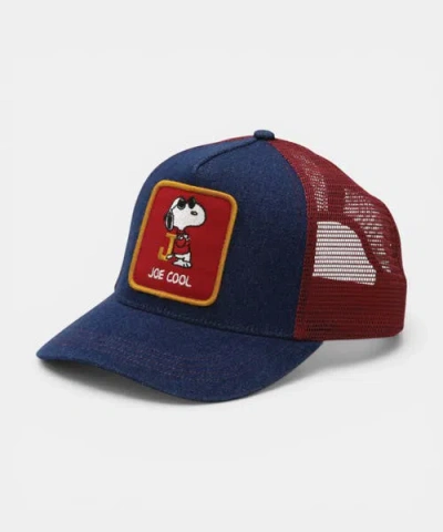 Peter Grimm Denim Joe Cool Trucker Cap