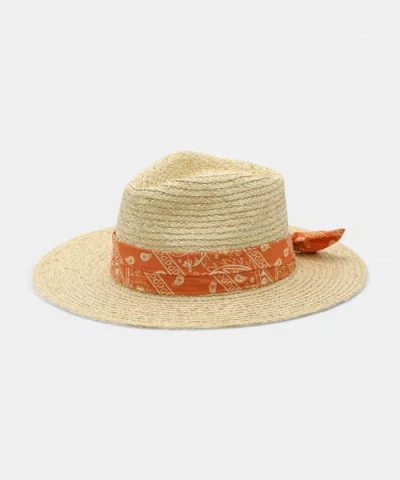 Peter Grimm Gabriella Straw Hat In Natural