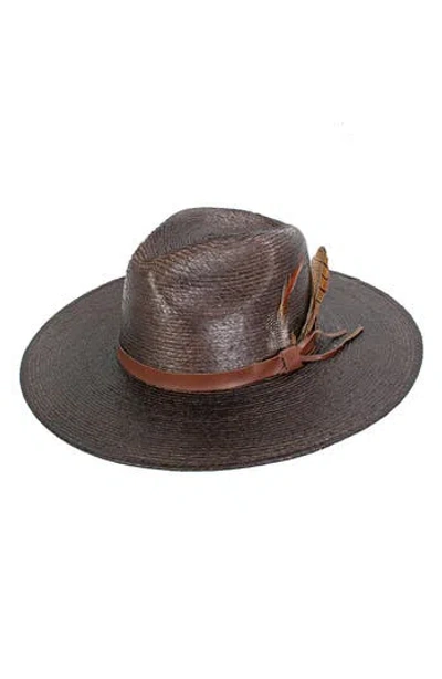 Peter Grimm Phoenix Straw Sun Hat In Brown
