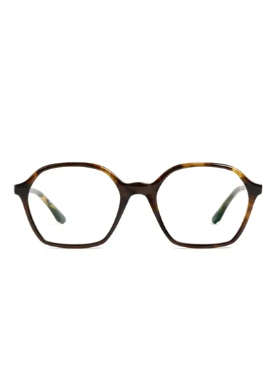 Peter & May Walk Colette Glasses In ブラウン