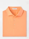 Peter Millar Solid Performance Jersey Polo