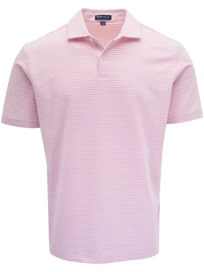 Peter Millar Striped Polo Shirt In Pink