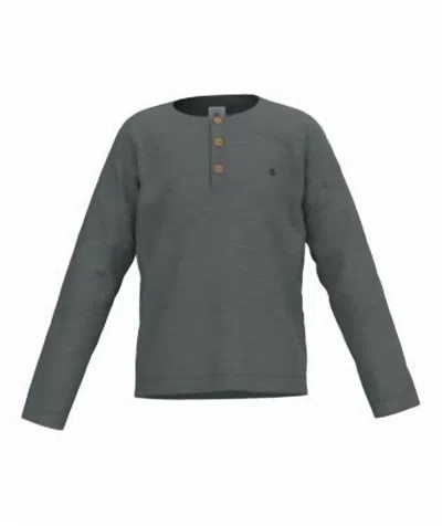 Petit Bateau Kids' Boy's Long Sleeve Henley Tee In Teal In Gray