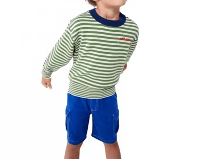 Petit Bateau Kids' Boy's Striped Sweater In Green