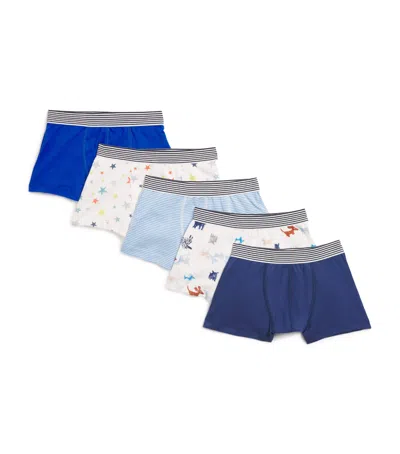 Petit Bateau Kids' Set Of 5 Cotton Boxers In Multi