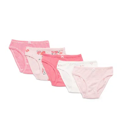 Petit Bateau Kids' Set Of 5 Cotton Briefs In Pink