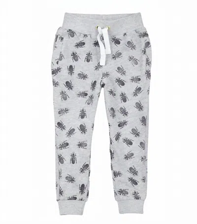 Petit Lem Kids Bug Me Knit Pants In Grey