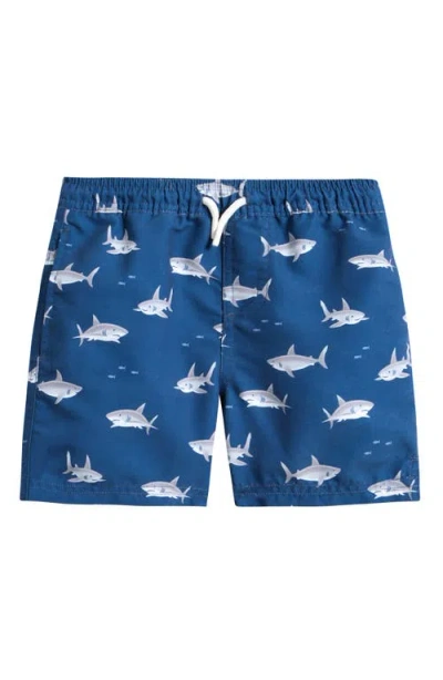 Petit Lem Kids' Shark Print Swim Trunks In Blue