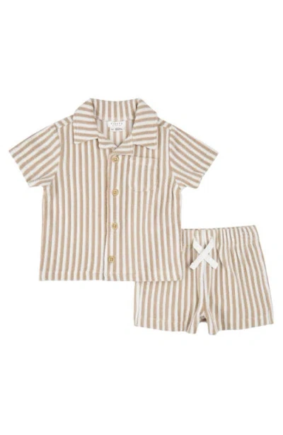 Petit Lem Babies'  Stripe Terry Camp Shirt & Shorts Set In Brown