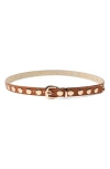 Petit Moments Disc Stud Belt In Tan/ Gold