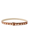 Petit Moments Disc Stud Belt In Tan/gold
