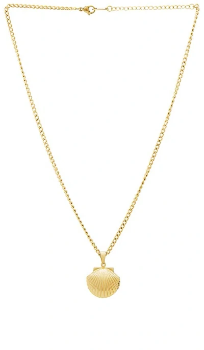 Petit Moments Gaio Necklace In 金色
