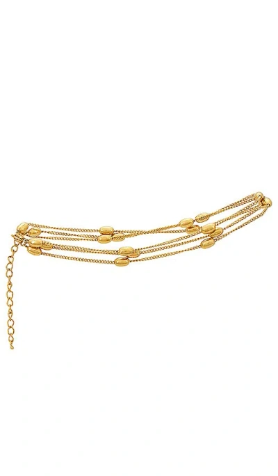 Petit Moments Hugh Anklet In 金色