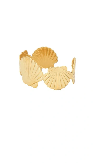 Petit Moments Shell 手镯 In Multi