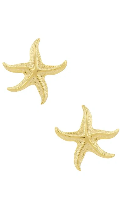 Petit Moments Starfish Earrings In 金色