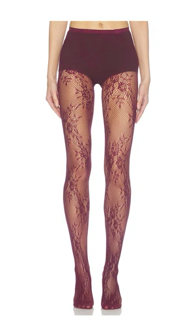 Petit Moments Stretch Lace Tights In Purple