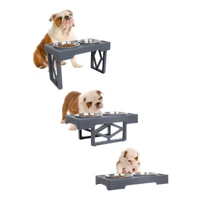 Petmaker 2 Dog Bowls With Adjustable Stand In Gray
