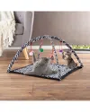 Petmaker Cat Activity Center
