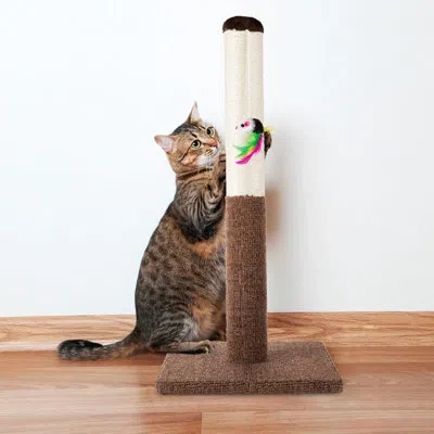 Petmaker Cat Scratch Post With Hanging Toy In Brown