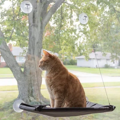 Petmaker Cat Window Perch For Large Cats, Black