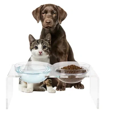 Petmaker Elevated Dog And Cat Bowls Set - 7.1-inch Tall Acrylic Dog Bowl Stand With 2 Removable Stainless Ste In Clear