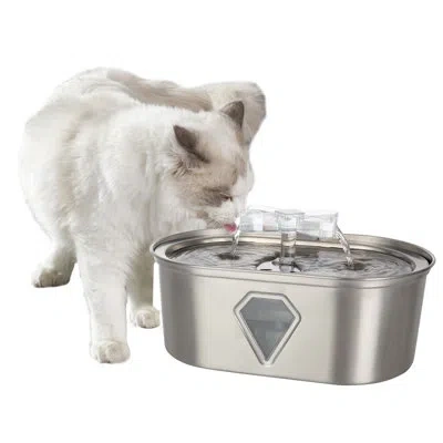 Petmaker Pet Water Fountain In Stainless Steel