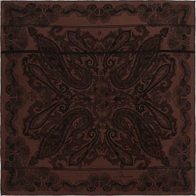 Petrusse Women's Brown Wool Scarf - Moon Twill Chocolate