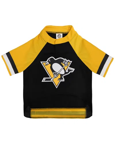 PETS FIRST PETS FIRST PITTSBURGH PENGUINS