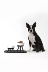 Pets So Good Oreo Pet Standing Bowl In White