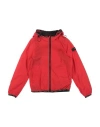 Peuterey Babies'  Toddler Boy Jacket Red Size 6 Polyamide