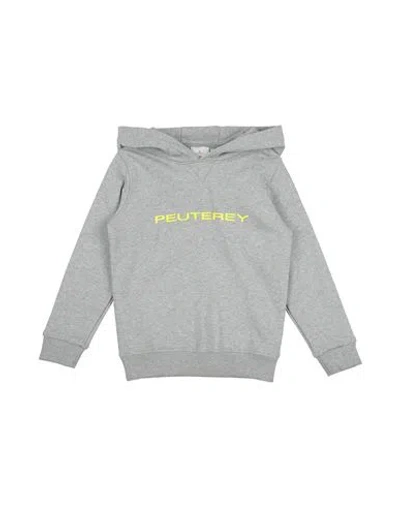 Peuterey Babies'  Toddler Boy Sweatshirt Grey Size 6 Cotton