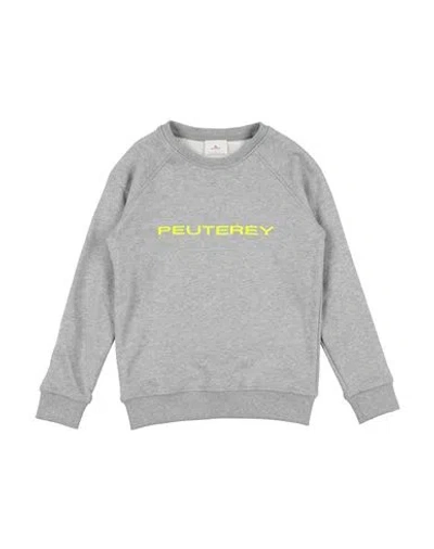 Peuterey Babies'  Toddler Boy Sweatshirt Grey Size 6 Cotton