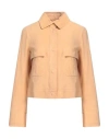 Peuterey Woman Jacket Apricot Size 10 Goat Skin