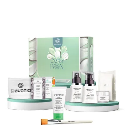 Pevonia The Spa Box - Collagen Repair Discovery Kit In Transparent