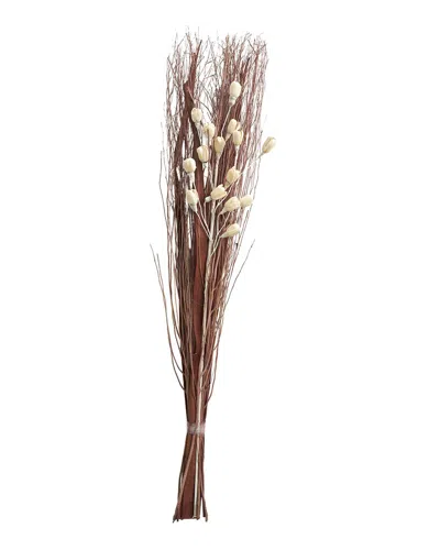 Peyton Lane Branch Brown Dried Plant Handmade Tall Floral Bouquet Natural Foliage In Neutral
