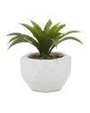 Peyton Lane Ceramic Artificial Foliage In Green