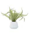 Peyton Lane Ceramic Artificial Foliage In White