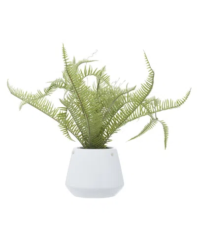 Peyton Lane Ceramic Artificial Foliage In White