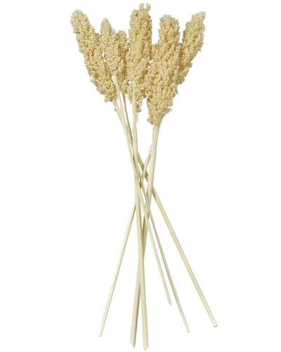 Peyton Lane Corn Maze Dried Plant Natural Foliage With Long Stems In White