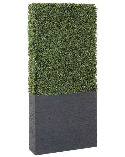 Peyton Lane Boxwood Hedge