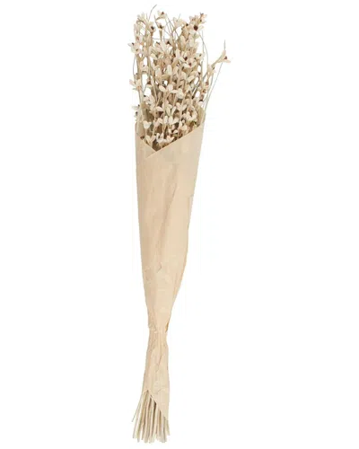 Peyton Lane French Country Dried Plant Natural Foliage In Nude