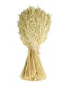 Peyton Lane Grass Beige Dried Plant Handmade Wheat Stalk Bundle Natural Foliage In Beige