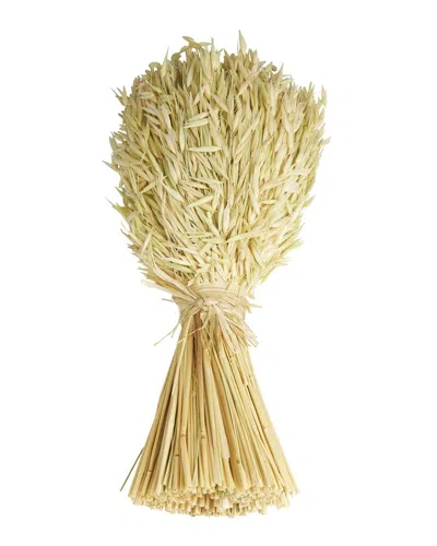 Peyton Lane Grass Beige Dried Plant Handmade Wheat Stalk Bundle Natural Foliage