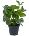 Peyton Lane Green Plastic Traditional Artificial Foliage In Green