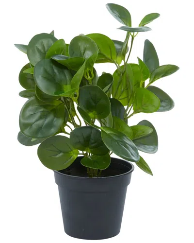 Peyton Lane Green Plastic Traditional Artificial Foliage